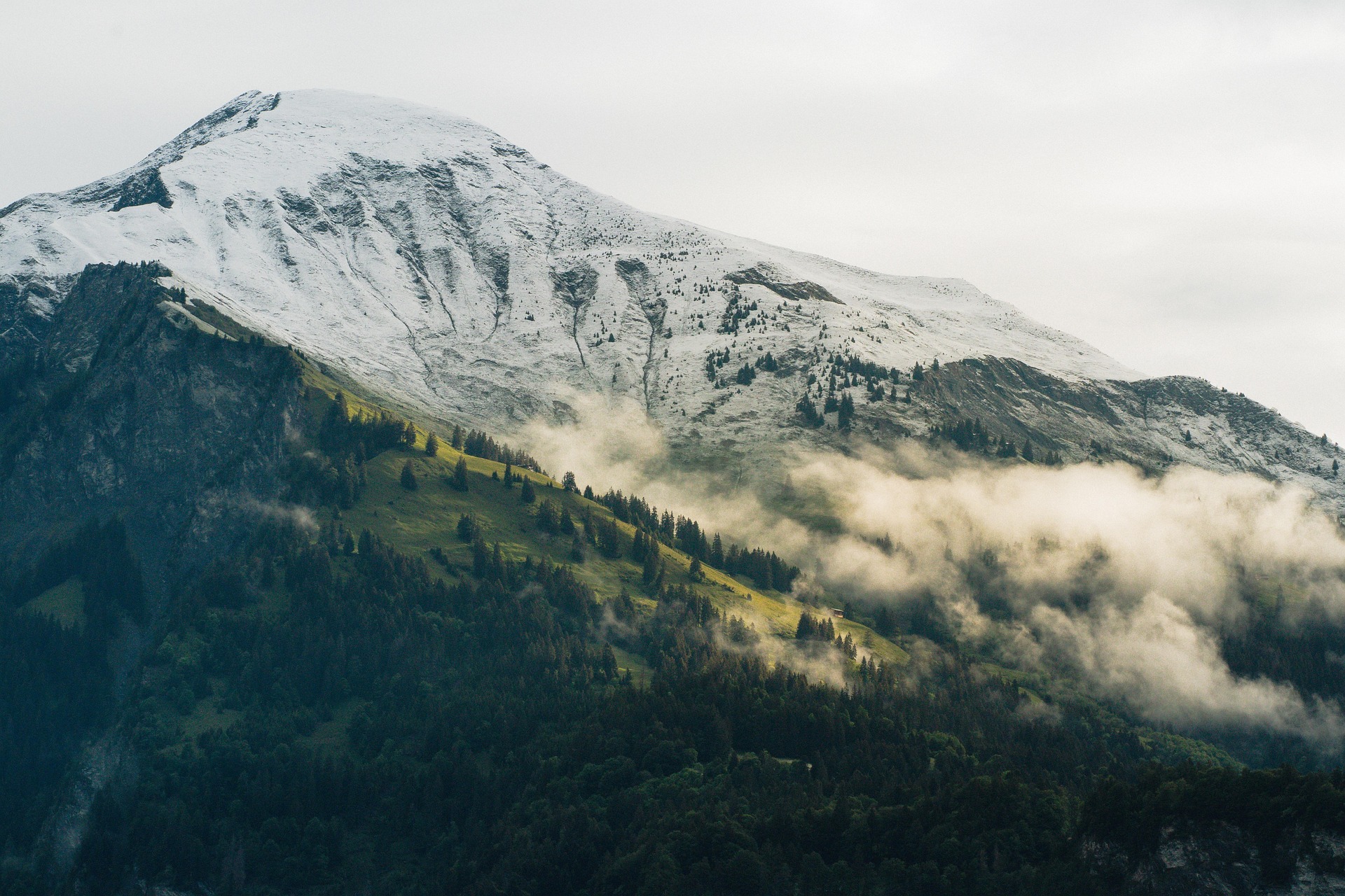 La vision d'Héritage des Alpes : La préservation du terroir alpin